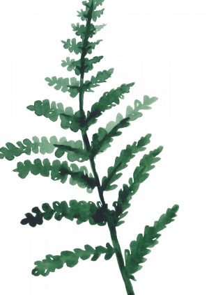 Forest Fern Leaf Print