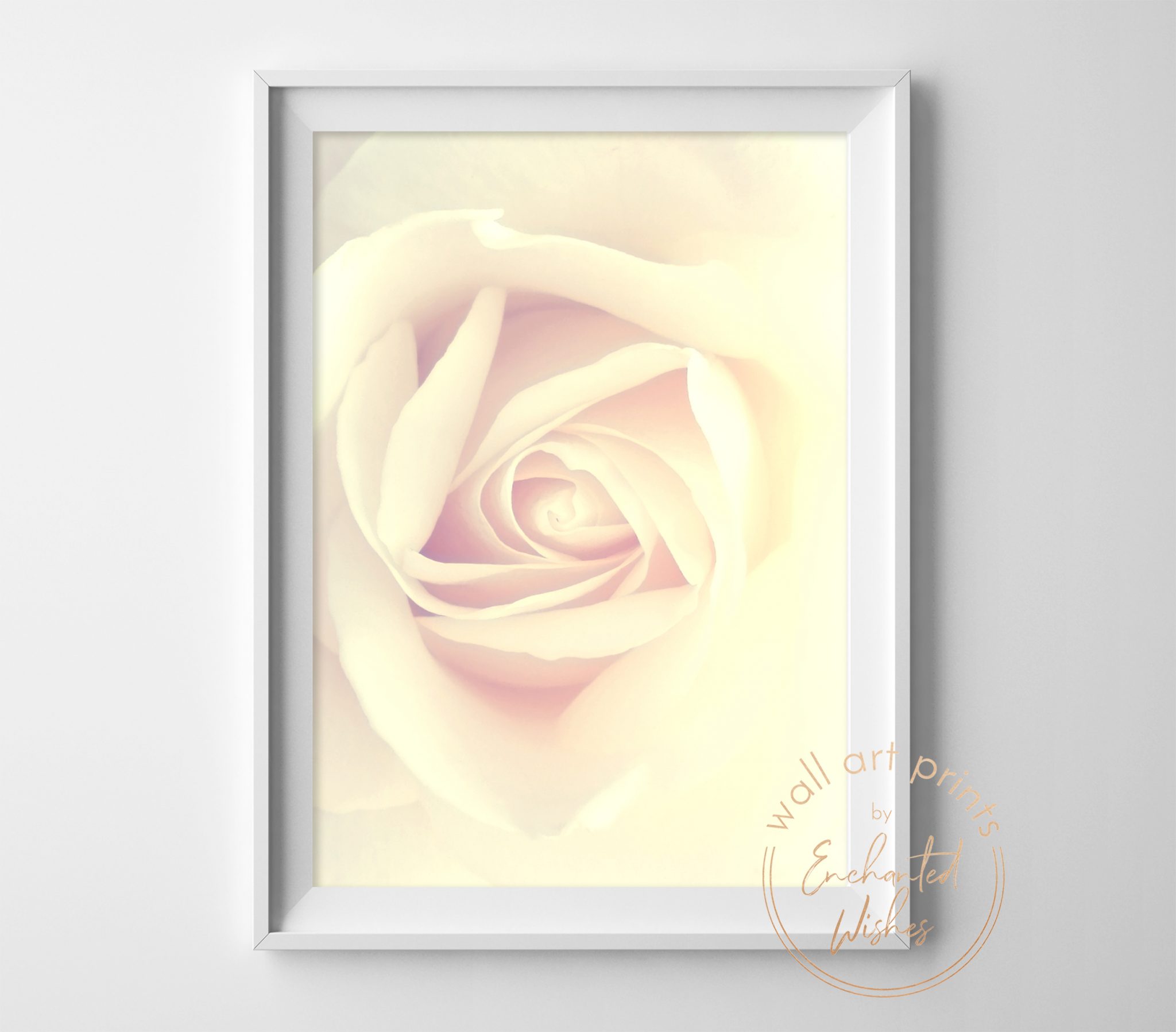 Golden Rose Photo Print - Wall Art