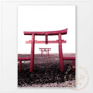 Japanese Torii Gates Photo Print